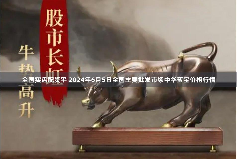 全国实盘配资平 2024年6月5日全国主要批发市场中华蜜宝价格行情