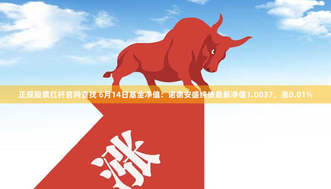正规股票杠杆官网查找 6月14日基金净值：诺德安盛纯债最新净值1.0037，涨0.01%