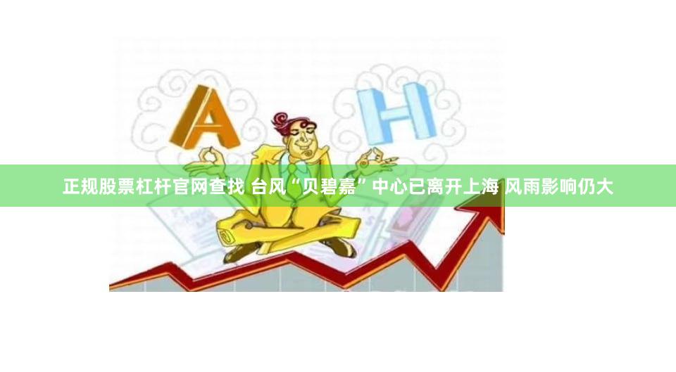 正规股票杠杆官网查找 台风“贝碧嘉”中心已离开上海 风雨影响仍大