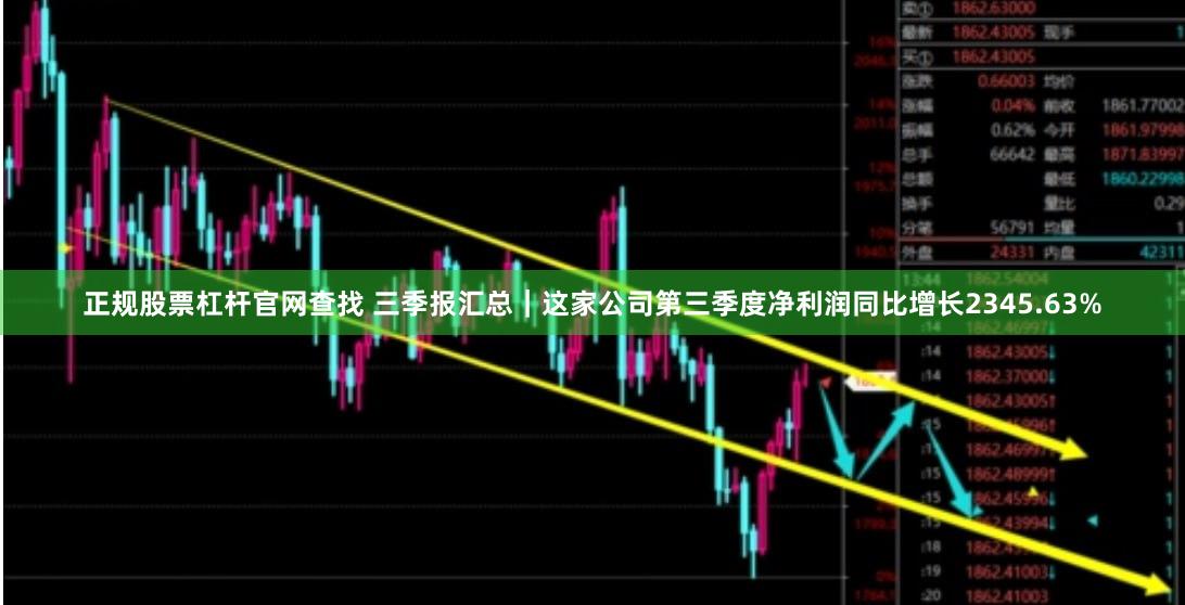 正规股票杠杆官网查找 三季报汇总｜这家公司第三季度净利润同比增长2345.63%