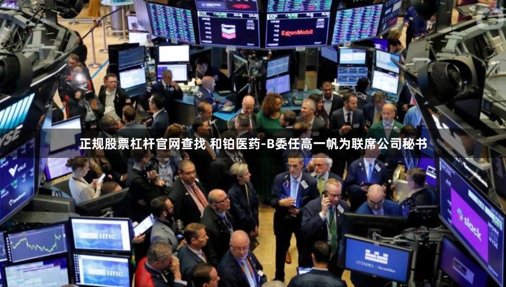 正规股票杠杆官网查找 和铂医药-B委任高一帆为联席公司秘书